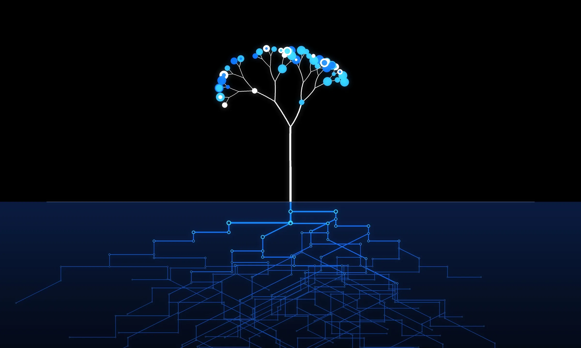 Albero di luce con la chioma blu; sotto il terreno le radici diventano tracce di un circuito